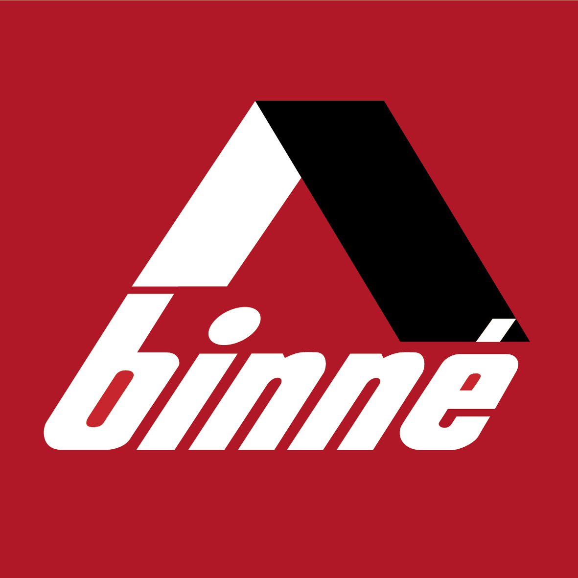 Binne - Logo 250512